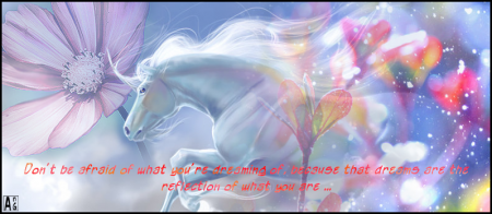 You're dreams. - Juin 2012 - The Gimp 2.6